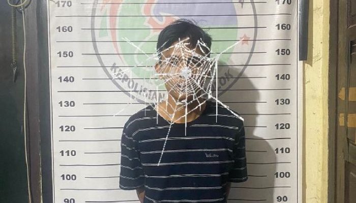 Sempat DPO, Seorang Pengedar Ganja 180 Kg di Solok Raya Ditangkap Tim Spider Polres Solok