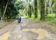 Keluhan Jalan Rusak Tiumang-Sipangkur, Sekcam Tiumang Harapkan Perhatian Serius Bupati dan DPRD