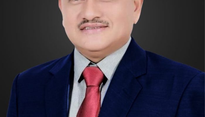 Partai Demokrat Dukung Penuh Pemerintahan Baru Kabupaten Solok