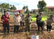 Bupati dan Wakil Bupati Solok Luncurkan Program Sawah Pokok Murah untuk Tingkatkan Ketahanan Pangan