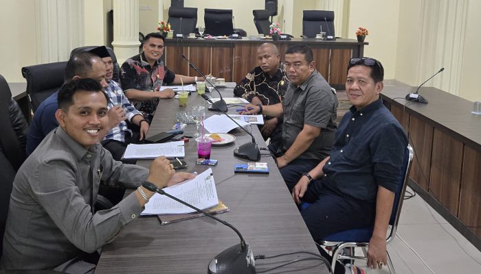 Ketua Fraksi PAN Apresiasi Kerja Cepat OPD Terkait di Singkarak