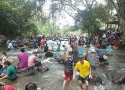 Tradisi Mangalah Warnai Kemeriahan Lebaran di Nagari Gantung Ciri, Diharapkan Jadi Agenda Tahunan