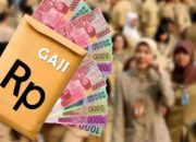 Keterlambatan Gaji, Pemkab Solok : Ada OPD yang Belum Entri Efisiensi