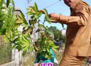 Program “Solok Bersih”, Gebrakan 100 Hari Jon Firman Pandu – Candra untuk Lingkungan yang Asri dan Pelayanan Publik yang Nyaman