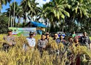 “Basawah Pokok Murah”, Inovasi Jon Firman Pandu–Candra untuk Petani Solok Lebih Sejahtera dan Mandiri