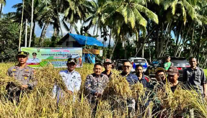 “Basawah Pokok Murah”, Inovasi Jon Firman Pandu–Candra untuk Petani Solok Lebih Sejahtera dan Mandiri