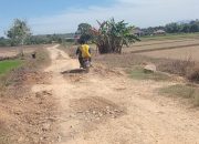 Warga Jorong Padang Sari Harap Perbaikan Jalan Usaha Tani: “Sudah Bertahun-Tahun Seperti Anak Tiri”