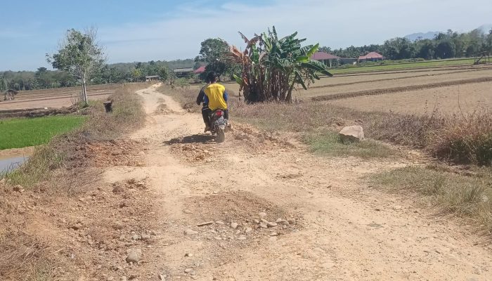 Warga Jorong Padang Sari Harap Perbaikan Jalan Usaha Tani: “Sudah Bertahun-Tahun Seperti Anak Tiri”