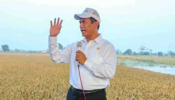 Produksi Beras Indonesia Tembus 34,6 Juta Ton, Teratas di ASEAN