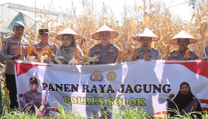 Kapolres Solok Pimpin Panen Raya Jagung Polres Solok
