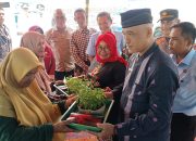 Gerakan Menanam Cabai, Upaya Kabupaten Solok Kendalikan Inflasi