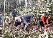 Wabup Solok Genjot Integrated Farming, Hidupkan Kembali Kejayaan Kopi Ulu Rimbo Paninggahan
