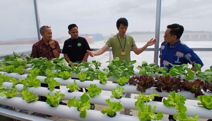 PNP dan Mitra Luncurkan Inisiatif Teknologi IoT untuk Pertanian Modern: Dorong Keterlibatan Generasi Muda dalam Sektor Agribisnis