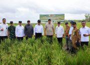 Menteri Pertahanan dan Sejumlah Menteri Tinjau PSN Satelit Pangan di Wanam, Papua