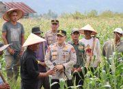 Kapolres Solok Pantau Lahan Ketahanan Pangan Polres Solok