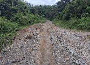 Masyarakat Siguntur Keluhkan Jalan Rusak, Pelajar Kesulitan ke Sekolah