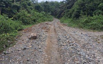 Masyarakat Siguntur Keluhkan Jalan Rusak, Pelajar Kesulitan ke Sekolah