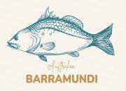 Barramundi Lebih dari Sekadar Hidangan Australia