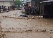 Banjir Bandang Landa Salayo Solok, Ribuan Warga Mengungsi dan Puluhan Hektare Sawah Terendam