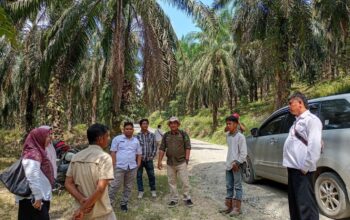 Melalui Skema CSR dan APBD, Tim Gabungan Lakukan Opname Ruas Jalan Taratak Tinggi Jelang Pengaspalan