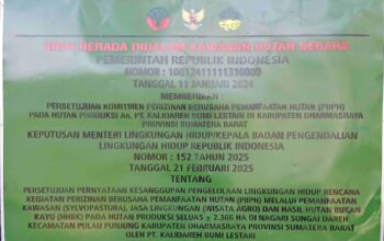 Ninik Mamak Sikabau Somasi Menteri Kehutanan dan KLH, Sengketa Lahan Ulayat Memanas