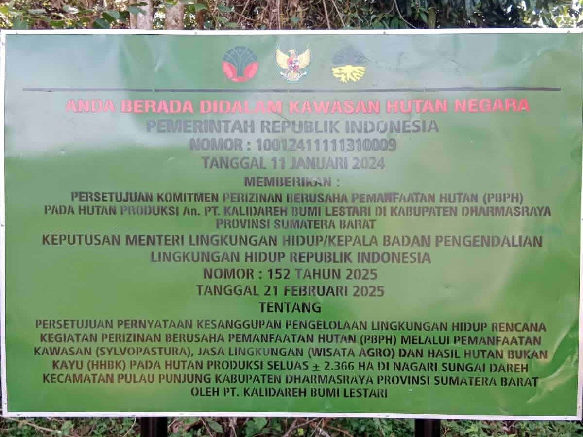 Ninik Mamak Sikabau Somasi Menteri Kehutanan dan KLH, Sengketa Lahan Ulayat Memanas