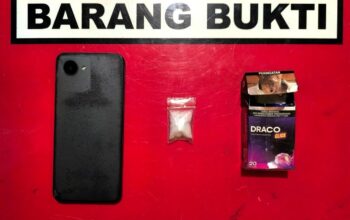 Satresnarkoba Polres Solok Tangkap Sopir 21 Tahun, Diduga Kuasai Satu Paket Sabu di Kubung