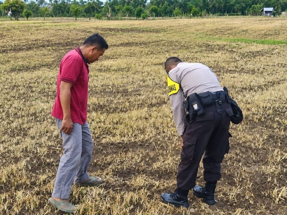 Bhabinkamtibmas Padang Laweh Turun ke Kebun, Bantu Warga Tanam Jagung