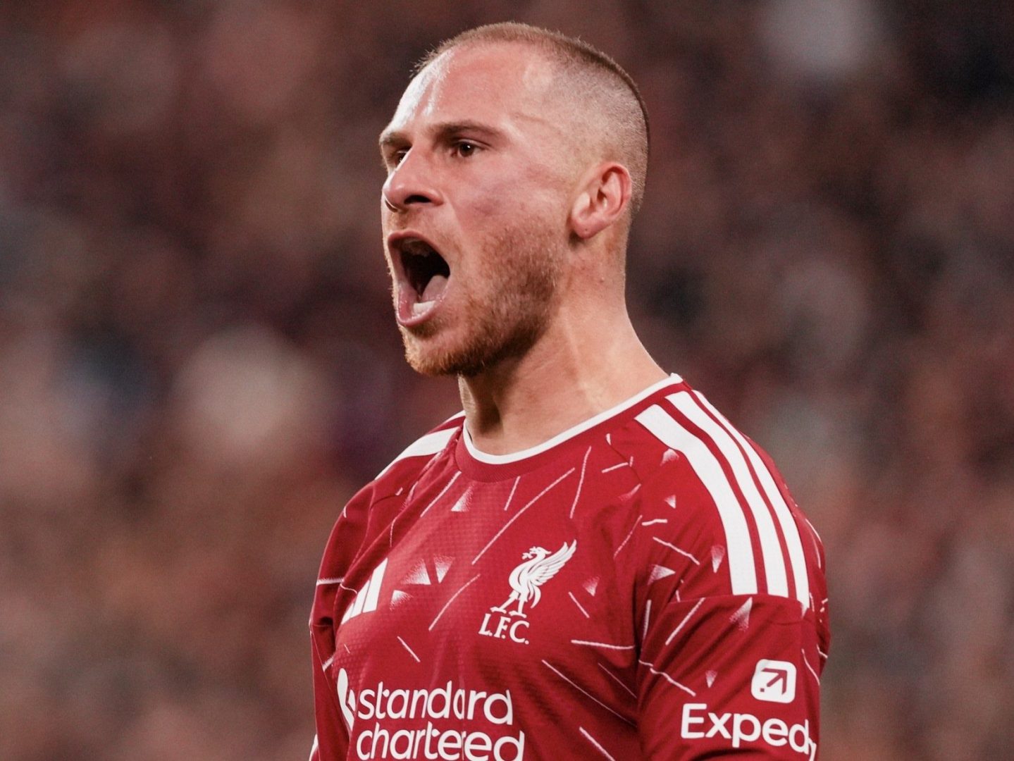 Liverpool Comeback, Taklukkan Atlético Madrid 2-1 di Liga Champions