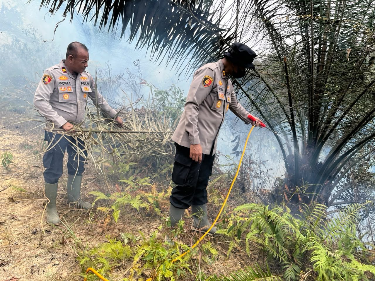 Kapolres Dharmasraya Cek Karhutla di Timpeh, Warga Diminta Tak Bakar Lahan